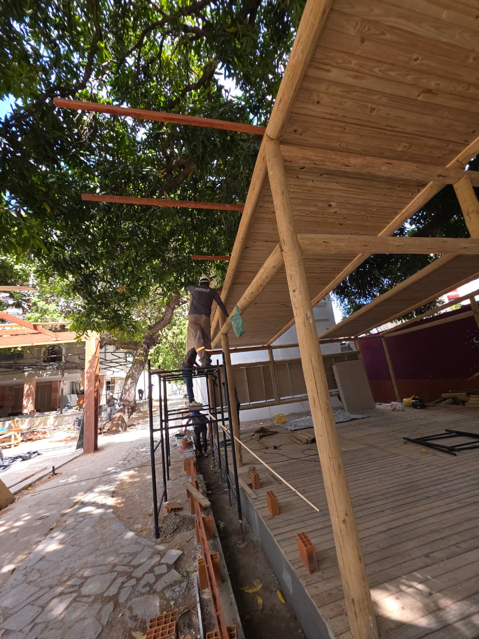 A Arte do Eucalipto: Conheça o Projeto da Solarium para a Prefeitura de Guaramiranga na CASACOR Ceará 2026